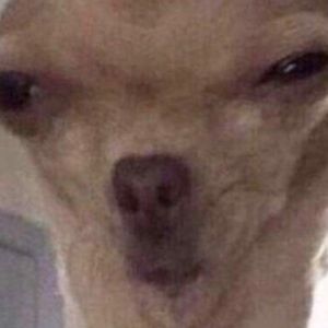 Meet your Posher, Bryan